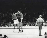 astrodome-gallery-Boxing