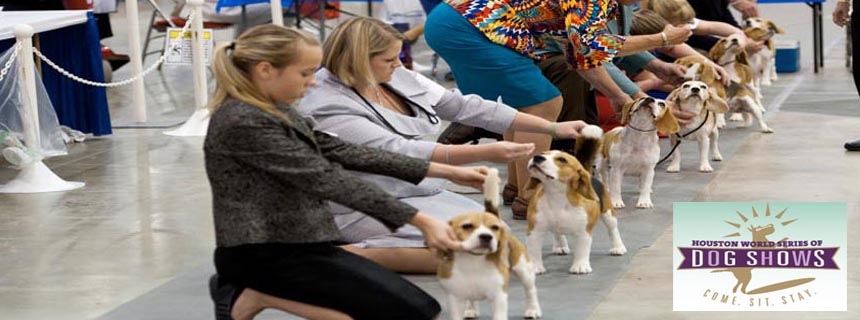 houston-world-series-of-dog-shows-july-19